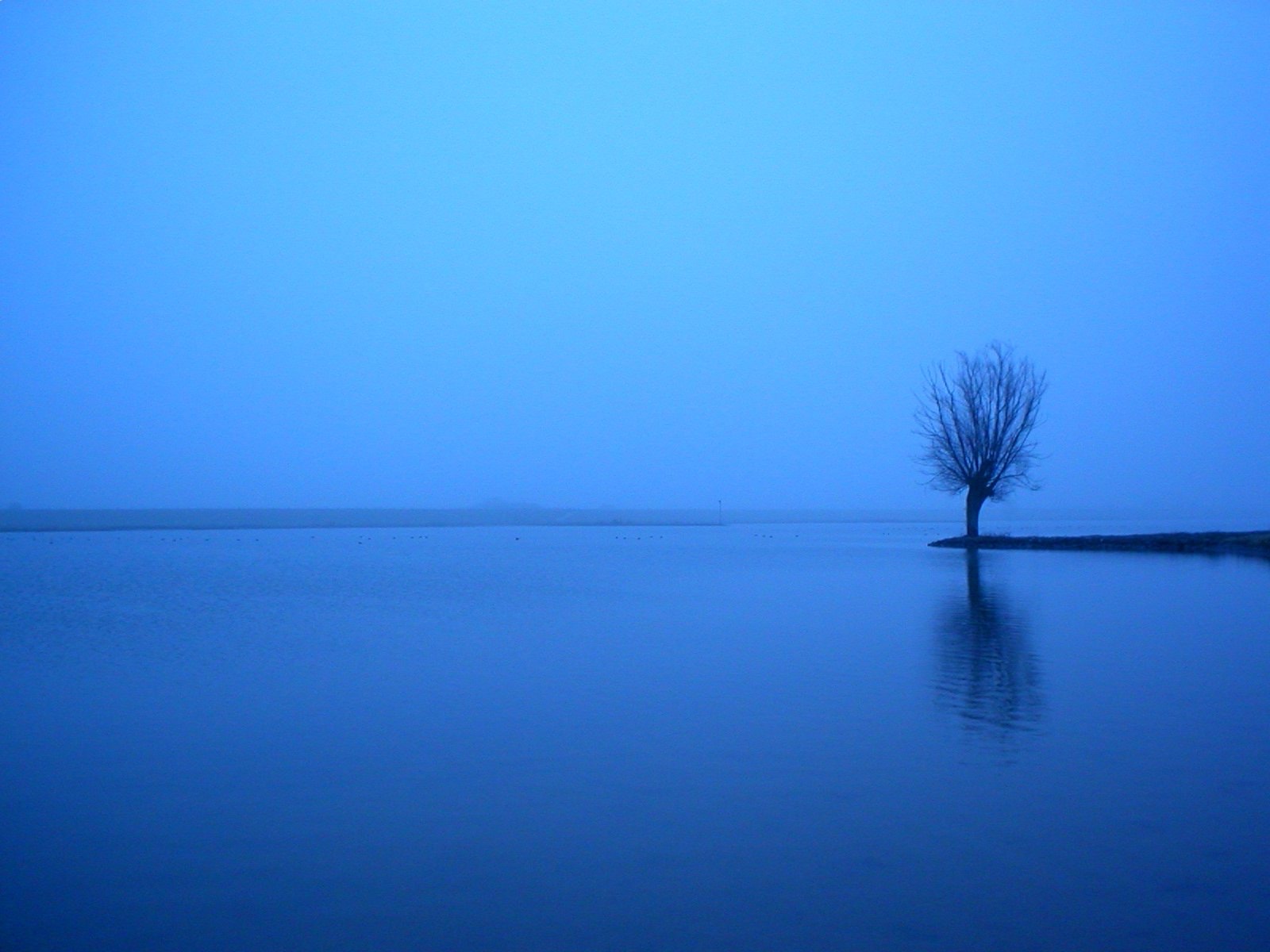 Everdingen, Netherlands